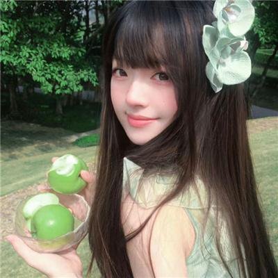 彩凤嬉春