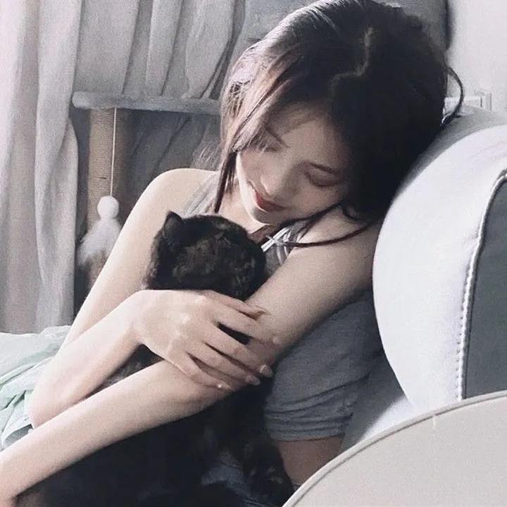 杀戮重生犬屋敷
